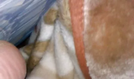 فتاة ضئيلة يمارس فيلم سكسي محرم العادة السرية أمام الكاميرا