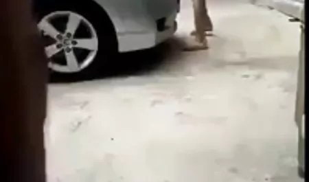 انه الملاعين لها مع فلم سكسي محارم هزاز
